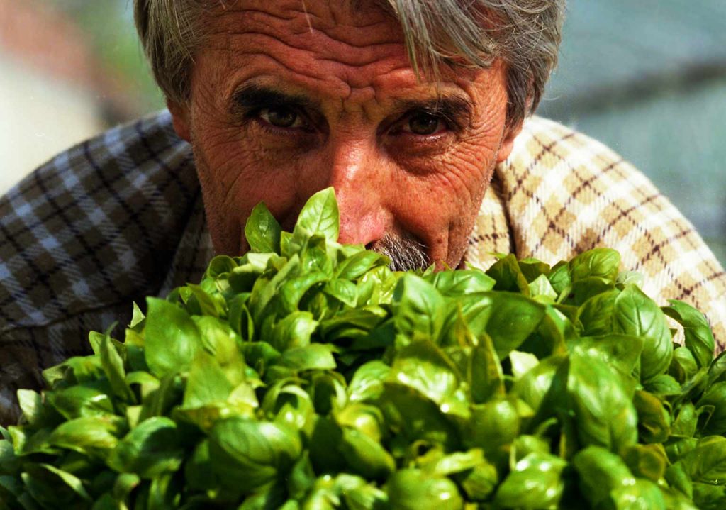 Fratelli-Sacco-una-storia-di-tradizione-del-basilico-di-pra